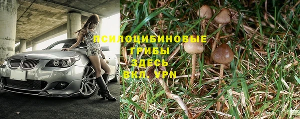 скорость Богородск
