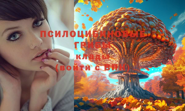 трава Белокуриха