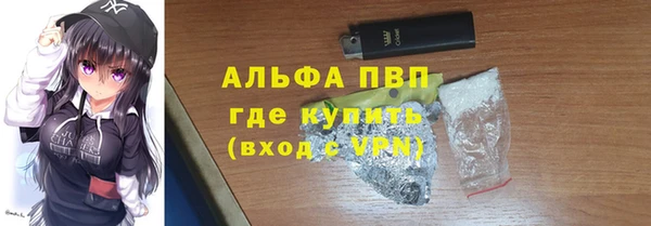 трава Белокуриха