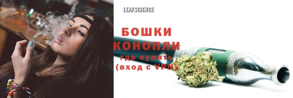 трава Белокуриха