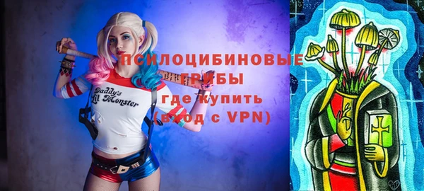 трава Белокуриха